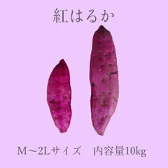 【べにはるか10kg】150g~500g