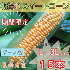 【長崎県産】朝採れスイートコーン とうもろこし クール便 期間限定