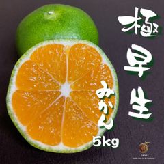 味濃い玉津みかん‼️愛媛産　極早生みかん　家庭用　小玉5kg   吉田みかん