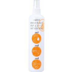 【2本セット】水のいらないボディソープ 300mL