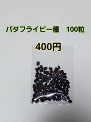 バタフライピー種　100粒　　400円