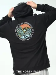 パーカー 大きいサイズ メンズ 裏起毛 バックプリント プルオーバー SEASONAL GRAPHIC HOODIE スウェット THE NORTH FACE ザ ノースフェイス ブラック