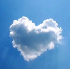 neko☆neko - メルカリShops