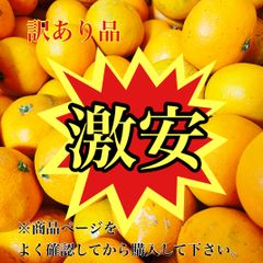 訳あり　10キロ　晩生　有田みかん　安い　消費期限の短い　和歌山　産地直送のサムネイル
