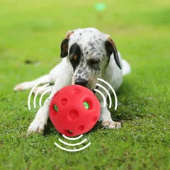 新品 pet prime 犬 おもちゃ ボール 大型犬用 ぽわぽわ音が出る 硬くて丈夫な音の出るおもちゃ 大きな音が好きなワンちゃんに お手入れ簡単 中型犬 直径14cm