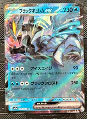 ブラックキュレムEX & ホワイトキュレムEX セット ブラックキュレムEX & ホワイトキュレムEX セット 2025年最新