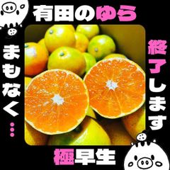 みかん　2.5㌔