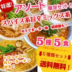 お試しセット(5種 5人前)スパイス系MIX ピリ辛ゆず風味(豚骨先生) 3種ブレンド(みそ味) 関東風濃口醤油生姜風味(マイルド味) ねりごま香る(坦坦麺) 和風だし(カレースパイス味) 保存食 ギフト 御中元 内祝