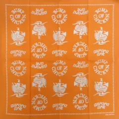 2025年最新】bump of chicken aurora arkの人気アイテム - メルカリ