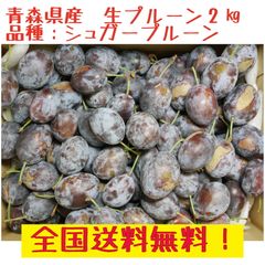 青森県産 　冷凍　生シュガープルーン　訳あり　２kｇ　クール冷蔵送料無料