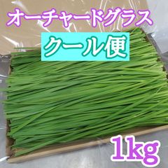 クール便 生牧草 オーチャードグラス 1kg