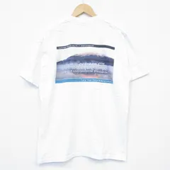 L/古着 ヘインズ 半袖 ビンテージ Tシャツ メンズ 00s 富士山 クルーネック 白 ホワイト 25aug13 中古