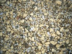 趣味の山野草【雪割草の土 5L】 山野草 雪割草