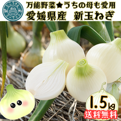 【甘ーい！市場直送でコスパ◎】新玉葱1.5Kg　国産　瀬戸内の越冬新玉ねぎ　1.5Kg 野菜　たまねぎ