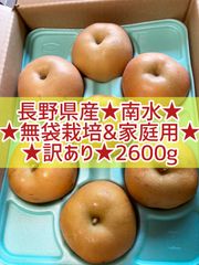 長野県産★南水梨★無袋栽培＆家庭用★2600g