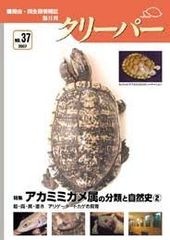 爬虫類雑誌クリーパー37号アカミミガメ属（スライダー属）②