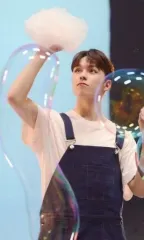 【中古】コレクションカード(男性) SEVENTEEN/VERNON(バーノン)/裏面緑/CD「JAPAN 1ST EP DREAM」Loppi・HMV限定特典スペシャルフォトカード