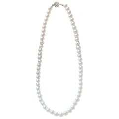 (40cm ホワイト) レディース ネックレス 結婚式 冠婚葬祭 シンプル 金具含めると43cm前後あり フォーマル ワンタッチ 8mm フェイクパール [Piena(ピエナ)]