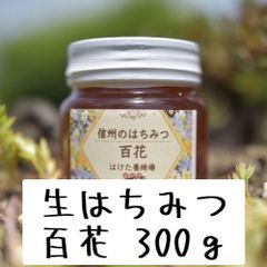 【生産者直送】ハチミツ　蜂蜜　長野県産　非加熱　純粋　国産生はちみつ　百花　300g