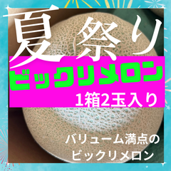 激安　アールスメロン　大玉　　3L〜5Lサイズ　2玉　九州産　アールスメロン　お土産　果物