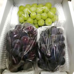 シャインマスカット　ピオーネ　訳あり　種なし　産地直送　人気　旬　ぶどう　送料込み