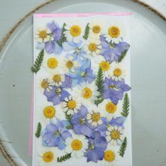 Item thumbnail for item af95a583-c9dd-43c2-9e81-42bbc16208e5