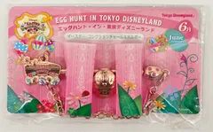 東京ディズニーランド エッグハントイン東京ディズニーランド6月イースターコレクションチャーム&ホルダー