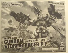 2025年最新】mg 1/100 ガンダムストームブリンガーの人気