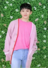 【中古】クリアファイル(男性アイドル) ウジ A4クリアファイル 「SEVENTEEN 2019 JAPAN TOUR ’HARU’」