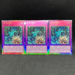 遊戯王 真竜 デッキパーツ 9枚セット - メルカリ