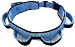 Item thumbnail for item 5f6aec45-0a95-48bf-aa60-0e372562f26f