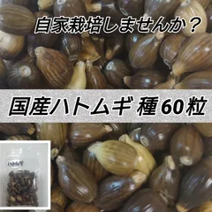 2024年最新】はと麦茶 ハトムギ茶 麦茶の人気アイテム - メルカリ