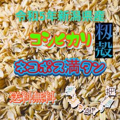 もみがら　籾殻