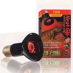 GEX ヒートグロー 赤外線照射スポットランプ 75W <昼夜兼用集光型>