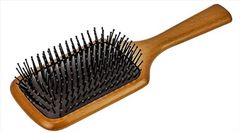 アヴェダ パトルブラシ ヘアブラシ 1個 [並行輸入品]