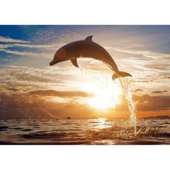 絵画風 壁紙ポスター (はがせるシール式) イルカ 夕陽 ジャンプ ドルフィン サンセット 海 キャラクロ DLP-004A2 (A2版 594mm×420mm) ＜日本製＞ ウォールステッカー お風呂ポスター