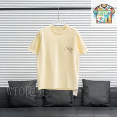 【今日WTO】ARC'TERYX アークテリックス バックロゴ T シャツ-NH60