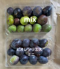いちじく　ビオレソリエスミニ　ミックス