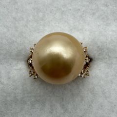 Item thumbnail for item 9b6aa1dd-e88e-4058-8abc-d2348a602e25