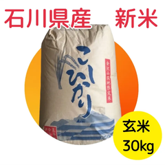 【農家直送】石川県産 令和4年9月収穫 新米 こしひかり 玄米 30kg