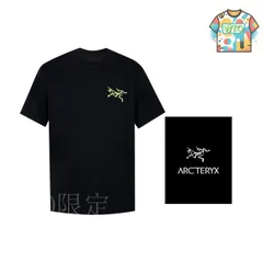 【今日WTO】Ayc Teryx 2024FW 夜光プリントショート T-MR59