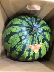 送料込み！富里産　ブラックジャック　超特大4Lサイズ　2玉 特大！富里スイカ 2玉 （4Lサイズ） | JA富里市産直センター