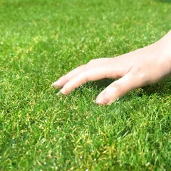 【新着商品】アイリスオーヤマ 国産 人工芝 1m×1m 芝丈3cm 防カビ仕様 ベランダ 庭 ふかふかな質感と本物のような触り心地 簡単にカット可能 ハサミ施工しやすい 設置も簡単 日本製 スタンダード IP-3011