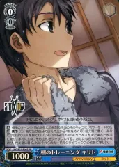 SAO プロモパック ヴァイス　購入特典　未開封 SAO プロモパック ヴァイス購入特典未開封