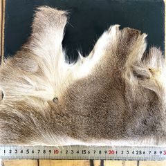 Item thumbnail for item 7d034026-7336-49ae-884c-ac66c3b22f1f