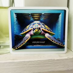 送料無料　ウミガメ　水族館　Sea Turtle　ハワイ「ウミガメ　トリックアート　ステッカー」ウォールステッカー　風　ステッカー（約４８ｍｍ×約６０ｍｍ）