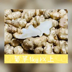 菊芋　産地直送　スーパーフード　きくいも　宅急便コンパクト
