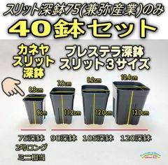 ◆平日＊日中注文即日発送-スリット深鉢75(2号ロング相当一辺6.3cm)カネヤEG-75Lスリット40鉢＊多肉植物・塊根植物コーデックス・アガベ・サボテン・盆栽・観葉・ハオルチア・アデニウム・パキポディウム・実生＠フラワーショップ江口