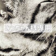 みっちゃん様専用