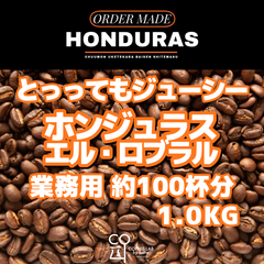 ホンジュラス エル・ロブラル農園 ウォッシュド 注文焙煎 業務用コーヒー豆 1.0KG